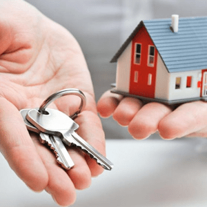 Efectos al pasar el cursor sobre la imagen